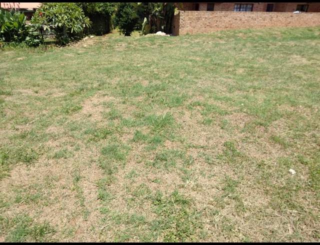 LAND FOR SALE IN WHITE RIVER EXT 49